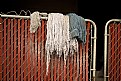 Picture Title - Hanging to Dry in a Back Alley