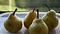 Picture Title - Pears