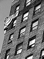 Picture Title - Bird on a Building