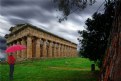 Picture Title - In Paestum