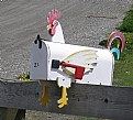 Picture Title - Chicken Box