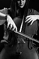 Picture Title - Cello