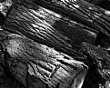 Picture Title - Texture in a Log Pile