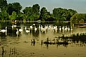 Picture Title - Stories from the Danube