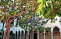 Picture Title - Architectura 51