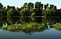 Picture Title - Morning on the Danube I