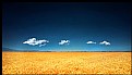 Picture Title - Cropland with the sky