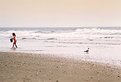 Picture Title - Beach Goers