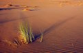 Picture Title - Sunrise in desert.....