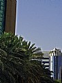 Picture Title - City & Palms