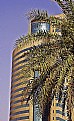Picture Title - Palms & Building