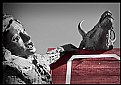 Picture Title - Bullfighting