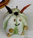 Picture Title - Squash Bunny