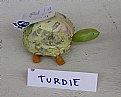 Picture Title - Turdie