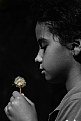 Picture Title - Little girl with dandelions