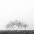 Picture Title - a foggy day