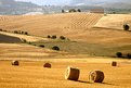 Picture Title - Now in Tuscany