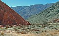 Picture Title - Cactus & Three Mountains