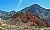 Cactus & Mountain