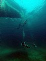 Picture Title - Diving under the boat