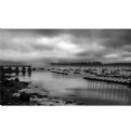 Picture Title - Harbor Mist