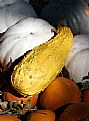 Picture Title - squash array