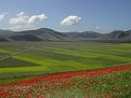 Picture Title - Castelluccio \