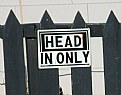 Picture Title - Head in Only