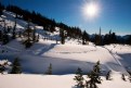 Picture Title - Winter Sunshine