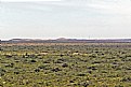 Picture Title - Patagonian Steppe