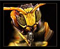 Picture Title - DJ "WASP"