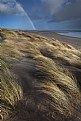 Camber Sands. Sunlight and sandstorms.