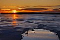 Picture Title - Sunrise Swans