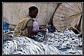 Picture Title - The Dry Fish Market