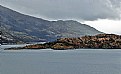 Picture Title - Sea, Islet & Snow