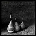 Picture Title - Pears