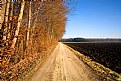 Picture Title - Country Lane