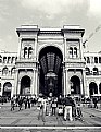 Picture Title - MIlan