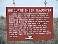 Picture Title - Curtis Sheep Slaughter