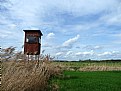 Picture Title - chasing the wind