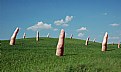 Picture Title - Fingerfields