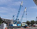 Picture Title - Crane