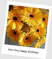 Picture Title - for Riny Koopman on his birthday