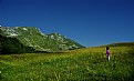 Picture Title - Child in nature