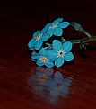 Picture Title - Forget-Me-Not