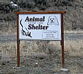 Picture Title - Animal Shelter