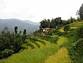 Picture Title - Kalimpong