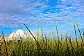 Picture Title - The cloud and the sky