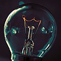 Picture Title - Bulb