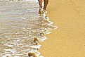 Picture Title - A walk on the beach